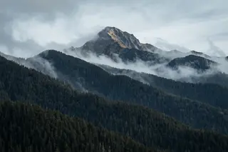 A mountain peak half hidden behind dense layers of mist and dark pine forest.
