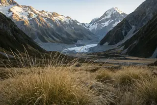 Golden tussock grass in the foreground with a glacial valley and mountains behind.